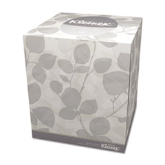$250 or more Online Order - 1 box of Kimberly-Clark KCC21270 