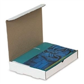 10 x 10 x 2&quot; Protective Literature Mailer