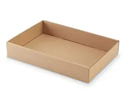 Corrugated Craft Beer Can Tray Die-Cut, None, 10-3/4 x 15-1/2 x 3" 200 B ***BLANK TRAY**** File # 84281